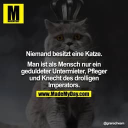 Niemand besitzt eine Katze.

Man ist als Mensch nur ein geduldeter Untermieter, Pfleger und Knecht des drolligen Imperat