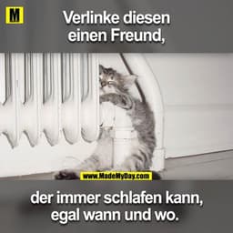 Verlinke diesen einen Freund, der immer schlafen kann, egal wo und wann.