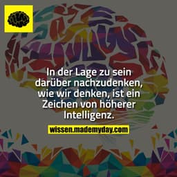 In der Lage zu sein darüber nachzudenken, wie wir denken, ist ein Zeichen von höherer Intelligenz.