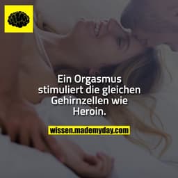 Ein Orgasmus stimuliert die gleichen Gehirnzellen wie Heroin.