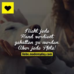 Nicht jede Hand verdient gehalten zu werden. Aber jede Pfote!