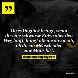 Ob es Unglück bringt, wenn dir eine schwarze Katze über den Weg läuft, hängt alleine davon ab, ob du ein Mensch oder ein