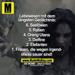Spruch