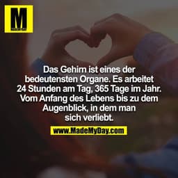 Das Gehirn ist eines der bedeutensten Organe. Es arbeitet 24 Stunden am Tag, 365 Tage im Jahr. Vom Anfang des Lebens bis