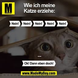 Spruch
