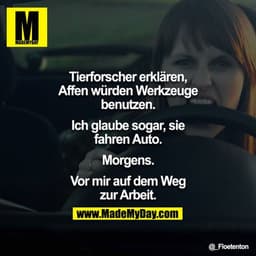 Tierforscher erklären, Affen würden Werkzeuge benutzen. Ich glaube sogar, sie fahren Auto. Morgens. Vor mir auf dem Weg 