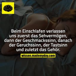 Beim Einschlafen verlassen uns zuerst das Sehvermögen, dann der Geschmackssinn, danach der Geruchssinn, der Tastsinn und