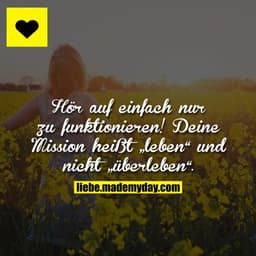 Hör auf einfach nur zu funktionieren! Deine Mission heißt „leben“ und nicht „überleben“.