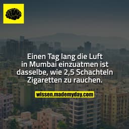 Einen Tag lang die Luft in Mumbai einzuatmen ist dasselbe, wie 2,5 Schachteln Zigaretten zu rauchen.