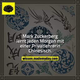 Mark Zuckerberg lernt jeden Morgen mit einer Privatlehrerin Chinesisch.