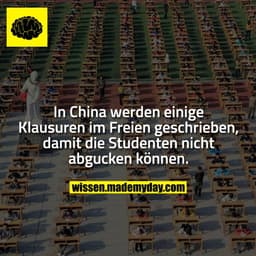 In China werden einige Klausuren im Freien geschrieben, damit die Studenten nicht abgucken können.
