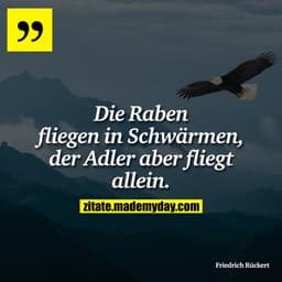 Die Raben fliegen in Schwärmen, der Adler aber fliegt allein.