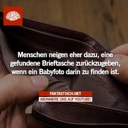 Mehr Fakten auf > Faktastisch