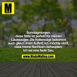 Sonntagmorgen:
diese Stille ist perfekt für meinen Laubsauger. Die Kettensäge bekommt auch gleich ihren Auftritt. Ich mö