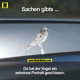 Sachen gibts ...
Da hat der Vogel ein
astreines Portrait geschissen.