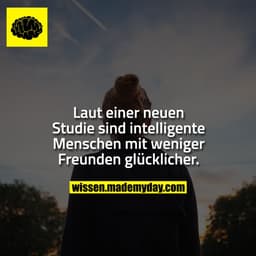 Laut einer neuen Studie sind intelligente Menschen mit weniger Freunden glücklicher.