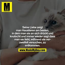 Seine Liebe zeigt man Haustieren am besten, in dem man sie an sich drückt und knutscht und immer wieder sagt dass man si