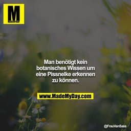 Man benötigt kein botanisches Wissen um eine Pissnelke erkennen zu können.