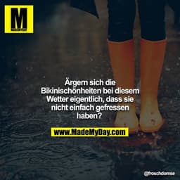 Ärgern sich die Bikinischönheiten bei diesem Wetter eigentlich, dass sie nicht einfach gefressen haben?