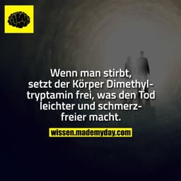 Wenn man stirbt, setzt der Körper Dimethyltryptamin frei, was den Tod leichter und schmerzfreier macht.