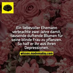 Ein liebevoller Ehemann verbrachte zwei Jahre damit, tausende duftende Blumen für seine blinde Frau zu pflanzen. So half