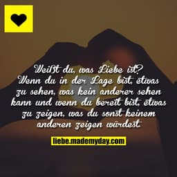 Weißt du, was Liebe ist? Wenn du in der Lage bist, etwas zu sehen, was kein anderer sehen kann und wenn du bereit bist, 