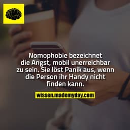Nomophobie bezeichnet die Angst, mobil unerreichbar zu sein. Sie löst Panik aus, wenn die Person ihr Handy nicht finden 
