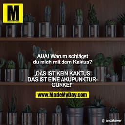 AUA! Warum schlägst du mich mit dem Kaktus?

„DAS IST KEIN KAKTUS! DAS IST EINE AKUPUNKTURGURKE!“