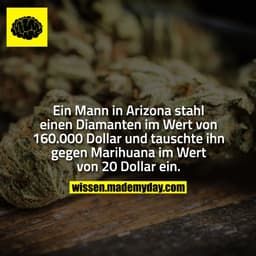 Ein Mann in Arizona stahl einen Diamanten im Wert von 160.000 Dollar und tauschte ihn gegen Marihuana im Wert von 20 Dol