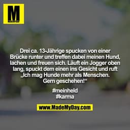 Drei ca. 13-Jährige spucken von einer Brücke runter und treffen dabei meinen Hund, lachen und freuen sich. Läuft ein Jog