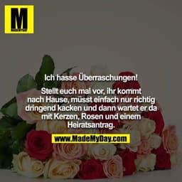 Ich hasse Überraschungen!

Stellt euch mal vor, ihr kommt nach Hause, müsst einfach nur richtig dringend kacken und dann