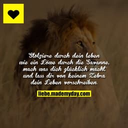 Stolziere durch dein leben wie ein Löwe durch die Savanne, mach was dich glücklich macht und lass dir von keinem Zebra d