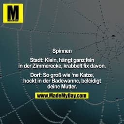 Spinnen

Stadt: Klein, hängt ganz fein in der Zimmerecke, krabbelt fix davon.

Dorf: So groß wie 'ne Katze, hockt in der