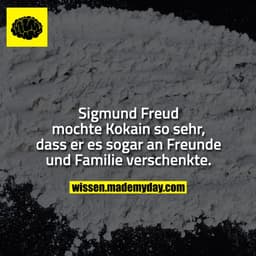 Sigmund Freud mochte Kokain so sehr, dass er es sogar an Freunde und Familie verschenkte.