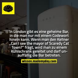 In London gibt es eine geheime Bar, in die man nur mit einem Codewort hinein kann. Wenn man den Kellner „Can I see the m
