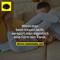 Wenn man beim Kitzeln lacht, verspürt man eigentlich eine Form von Panik.