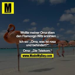 Wollte meiner Oma eben den Flamongo Witz erzählen ...

Ich so: „Oma, was ist rosa und behindert?“

Oma: „Die Telekom.“