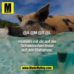 @A @M @S @L
müssen mit dir auf die Schweinchen-Insel auf den Bahamas.