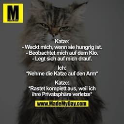Katze:
- Weckt mich, wenn sie hungrig ist.
- Beobachtet mich auf dem Klo.
- Legt sich auf mich drauf.

Ich: *Nehme die K