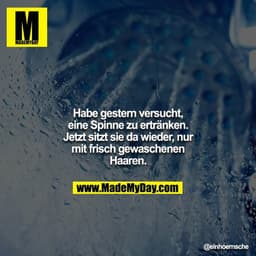 Habe gestern versucht, eine Spinne zu ertränken. Jetzt sitzt sie da wieder, nur mit frisch gewaschenen Haaren.