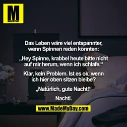 Das Leben wäre viel entspannter, wenn Spinnen reden könnten:

„Hey Spinne, krabbel heute bitte nicht auf mir herum, wenn