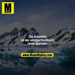Die Antarktis ist der einzige Kontinent ohne Spinnen.