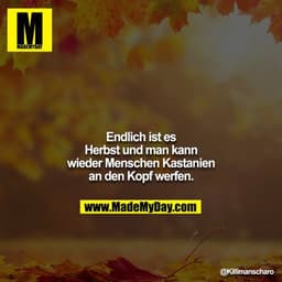 Endlich ist es Herbst und man kann wieder Menschen Kastanien an den Kopf werfen.