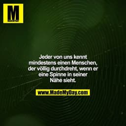 Jeder von uns kennt mindestens einen Menschen, der völlig durchdreht, wenn er eine Spinne in seiner Nähe sieht.