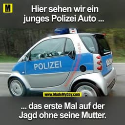 Hier sehen wir ein junges Polizei Auto ...
... das erste Mal auf der Jagd ohne seine Mutter. 