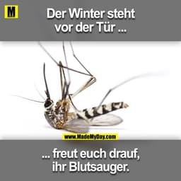 Der Winter steht vor der Tür ...
... freut euch drauf ihr Blutsauger.
