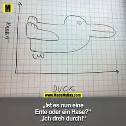RABBIT
DUCK
,ISt es nun eine
Ente oder ein Hase?"
„Ich dreh durch!"