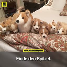 Finde den Spitzel.