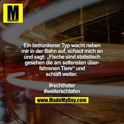 Ein betrunkener Typ wacht neben mir in der Bahn auf, schaut mich an und sagt: „Fische sind statistisch gesehen die am se