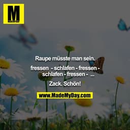 Raupe müsste man sein.

fressen  - schlafen - fressen - schlafen - fressen -  ...

Zack. Schön!